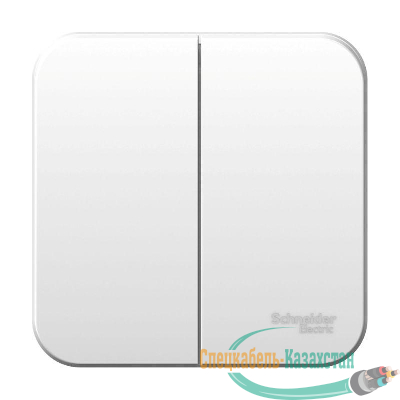 Выключатель 2-кл. ОП Blanca 6А IP20 (сх. 5) 250В с изолир. пластиной бел. SE BLNVA065011
