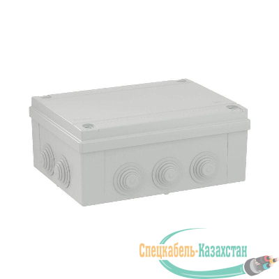 Коробка распр. ОП 300х220х120 (10 каб.ввод.) IP55 DKC 54300