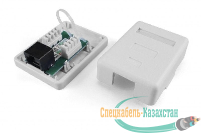 Розетка компьютерная 1-м ОП SB1-1-8P8C-C6-WH RJ45 (8P8C) кат.6 Dual IDC Hyperline 430232