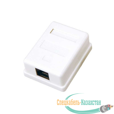 Розетка компьютерная 1-м ОП RJ45 CAT 5E бел. REXANT 03-0121