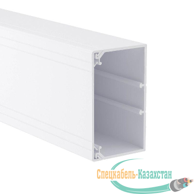 Кабель-канал 100х60 L2000 пластик TA-GN DKC 01786