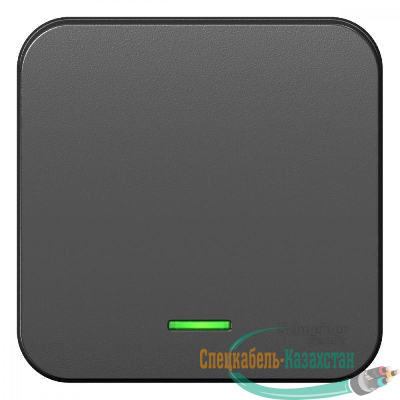 Переключатель проходной 1-кл. ОП Blanca 10А IP20 (сх. 6) 250В с подсветкой с изолир. пластиной антрацит SE BLNVA106116