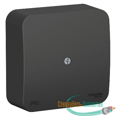 Коробка распределительная ОП BLANCA IP42 антрацит SchE BLNRK000016