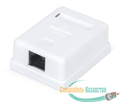 Розетка компьютерная 1-м ОП WR-WS-8P8C-C5E-1 RJ45 кат.5E неэкранир. Dual IDC бел. WRline 505215