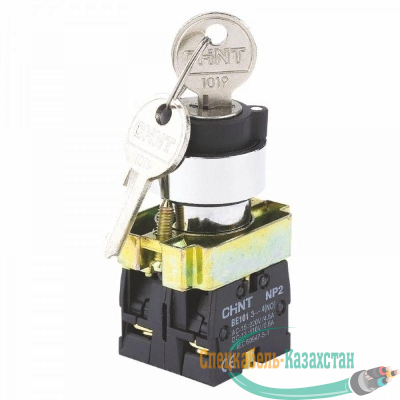 Переключатель NP2-BG25 2 полож. с фиксацией 1НЗ +1НО IP40 CHINT 574854