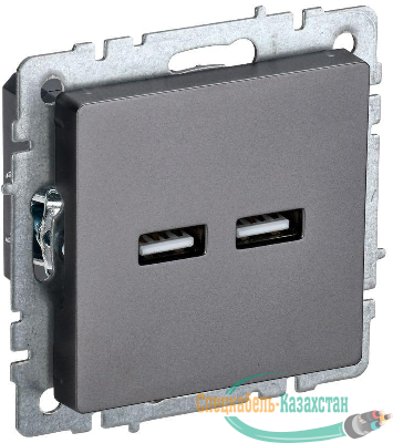 Розетка BRITE USB A+A 3.1А РЮ10-1-БрС механизм сталь IEK BR-U21-D31-K46