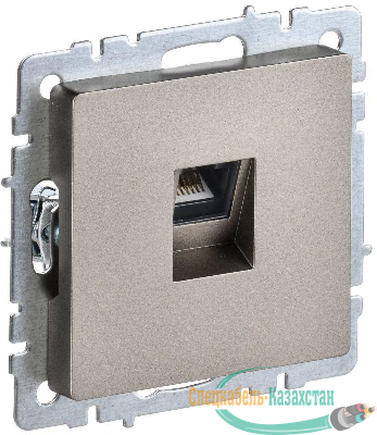 Розетка компьютерная СП RJ45 кат.5E BRITE РК10-БрШ механизм шампань IEK BR-K10-1-K37