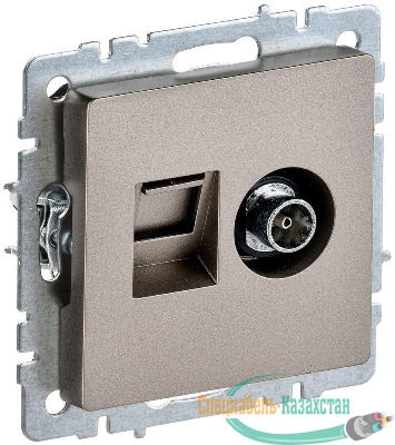 Розетка компьютерная + телевизионная 2-м Brite РТВ/РК12-БрШ RJ45 кат.5E + TV механизм шампань IEK BR-AK20-1-K37