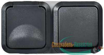 Блок ОП розетка + выключ. горизонт. TORS 16А IP55 TS142 графит IEK TS-G10-6-55-V-K53