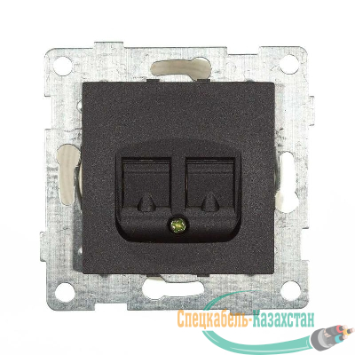 Розетка компьютерная 1-м СП Bravo RJ45 механизм графит GUSI С10К1-010