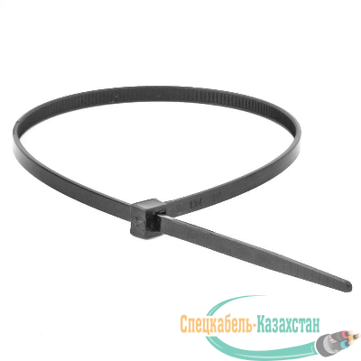 Хомут кабельный 2.5х160 полиамид черн. (уп.100шт) DKC 25306SR