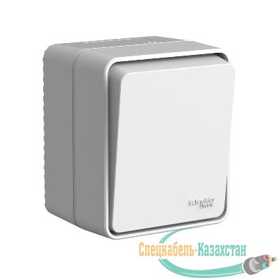 Выключатель 1-кл. ОП AtlasDesign PROFI IP54 с самовозвратом 10АХ сер. SE ATN543015