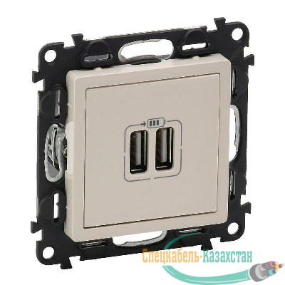 Механизм розетки USB 2-м Valena Life 240В/5В 1500мА с лицевой панелью сл. кость Leg 753512