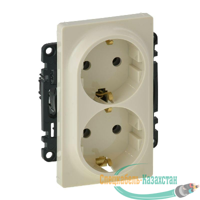 Механизм розетки 2-м Valena Life 16А 250В 2х2К+З с лицевой панелью безвинт. зажимы сл. кость Leg 753227