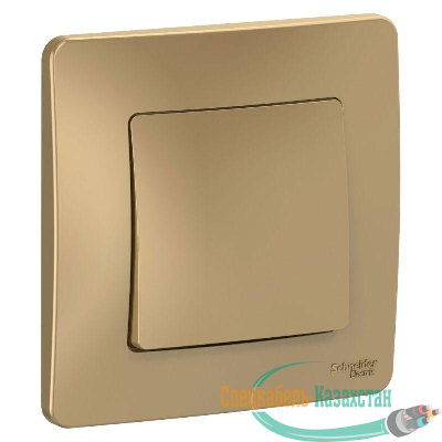 Выключатель 1-кл. СП BLANCA (сх.1) 10А 250В титан SchE BLNVS010104