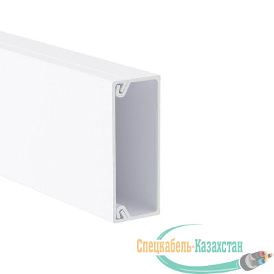 Кабель-канал 50х20 L2000 пластик TMC DKC 00313
