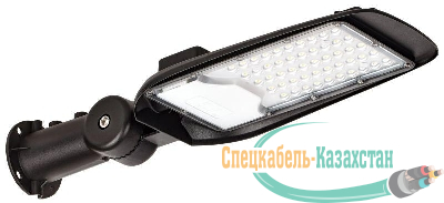 Светильник светодиодный ДКУ 1014-50Ш PRO 5000К IP65 уличный консольный IEK LT-DKU1-1014-050-50-K02