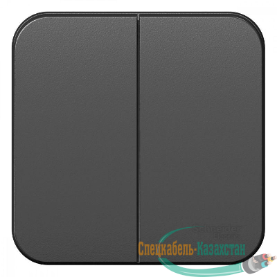 Выключатель 2-кл. ОП Blanca 10А IP20 (сх. 5) 250В антрацит SE BLNVA105006