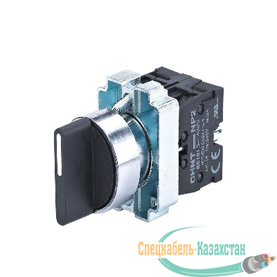 Переключатель NP2-BD25 2 полож. с фиксацией 1НЗ +1НО IP40 CHINT 573981