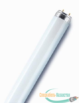 Лампа люминесцентная L 18W/765 18Вт T8 6500К G13 смол. OSRAM 4008321959669
