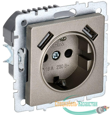 Розетка BRITE РЮш10-1-БрШ 16А с USB A+A 2.1А с заземл. защ. шторки механизм шампань IEK BR-R14-16-U21-D21-K37