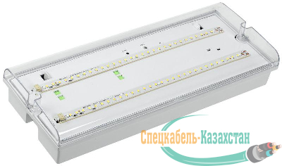 Светильник ДПА 5042-1 аккумулятор 1ч IP65 аварийный универс. подкл. ИЭК LDPA0-5042-1-65-K01