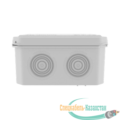 Коробка распр. ОП 100х100х50 (6 каб.ввод.) IP55 DKC 53800