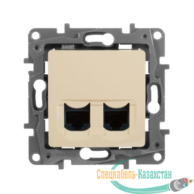 Розетка компьютерная 2-м СП Etika RJ45 кат.5E UTP механизм сл. кость Leg 672355