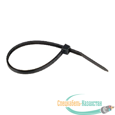 Хомут кабельный 2.5х120 нейл. черн. (уп.100шт) EKF plc-cb-2.5x120