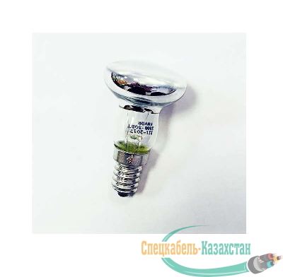 Лампа накаливания ЗК60 R50 230-60Вт E14 (100) Favor 8105009