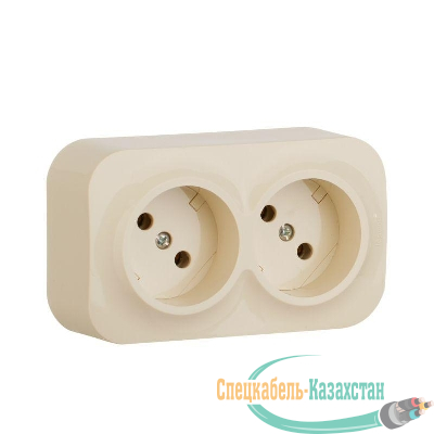 Розетка 2-м ОП Quteo 16А IP20 250В 2х2P без заземл. без защ. шторок сл. кость Leg 782242