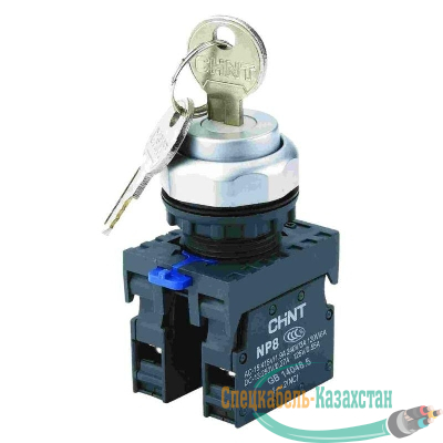 Переключатель с ключом NP8-20Y/31 3 полож. с фиксацией 2НО IP65 (R) CHINT 667185