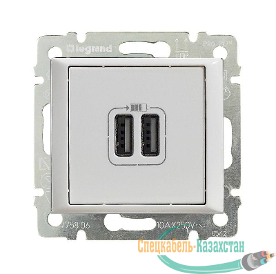 Розетка USB 2-м СП Valena механизм бел. (DIY-упак.) Leg 694370