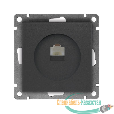 Розетка компьютерная 1-м СП Афина RJ45 кат.5E механизм графит Universal A0051-Gr