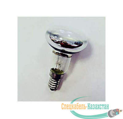 Лампа накаливания ЗК40 R50 230-40Вт E14 (100) Favor 8105008