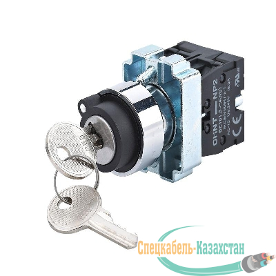 Переключатель NP2-BG25 2 положения фиксацией 1НО+1НЗ IP40 (R) CHINT 573988