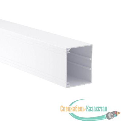 Кабель-канал 100х80 L2000 пластик TA-GN DKC 01790