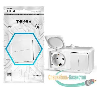 Блок ОП Dita (розетка 16А 250В с заземл. + 2-кл. выкл. 10А) IP54 бел. TOKOV ELECTRIC TKL-DT-V2RZ-C01-IP54