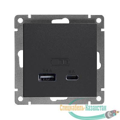Розетка 2-м USB СП Афина тип А+С 5В 1х2.4А 2х4А механизм графит Universal А0059-Gr