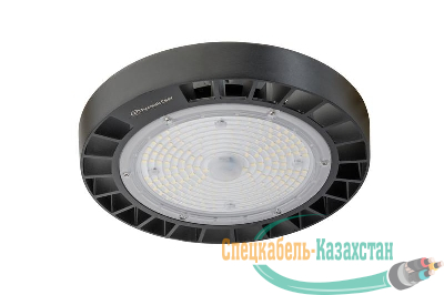 Светильник светодиодный ДСП IB 10 S 100W M 850 BK D257xH111мм 100Вт 5000К IP65 подвес черн. High Bay Русский Свет 16091023045