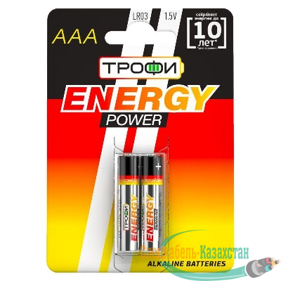 Элемент питания алкалиновый AAA/LR03 LR03-2BL (блист.2шт) Трофи C0034929