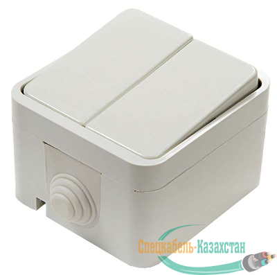Выключатель 2-кл. ОП Aqua 3200 10А IP44 п/герм. бел. ASD / IN HOME 4690612000435