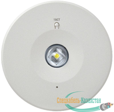 Светильник светодиодный ДПА 140 3ч IP20 аварийный непост. IEK LDPA0-140-3-3-20-K01