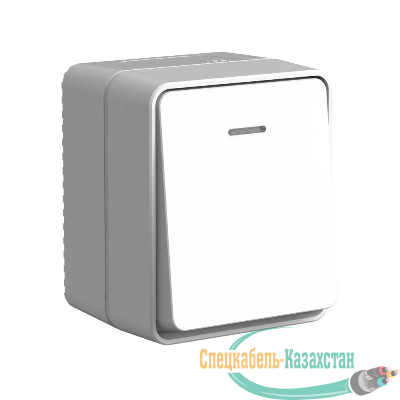 Выключатель 1-кл. ОП AtlasDesign PROFI IP54 с подсветкой 10 АХ сер. SE ATN543013