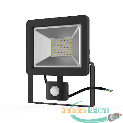 Прожектор светодиодный Elementary 50Вт 3500лм IP65 6500К с датчиком движения Gauss 628511350