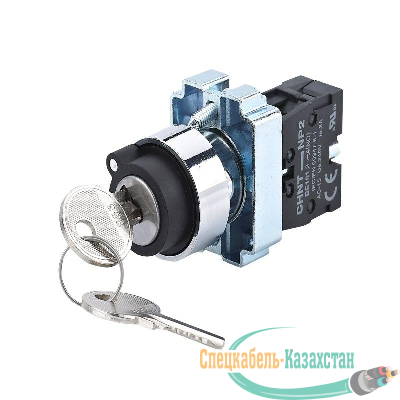Переключатель NP2-BG41 2 полож. с возвратом 1НО IP40 CHINT 573767