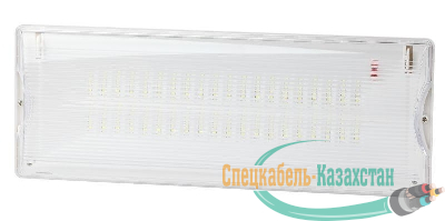 Светильник светодиодный DPA-301-0-65 40LED 3ч IP65 аварийный непостоянный Эра Б0044405