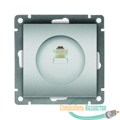 Розетка компьютерная 1-м СП Афина RJ45 кат.5E механизм серебр. Universal A0051-S